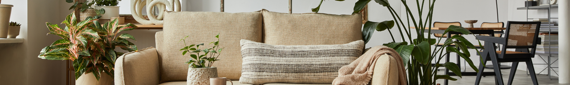 Le valoramos su inmueble de forma gratuita. BERENGUEL LOPEZ SERVICIOS INMOBILIARIOS SL en Cañada (La) Le valoramos su inmueble de forma gratuita. BERENGUEL LOPEZ SERVICIOS INMOBILIARIOS SL en Cañada (La)